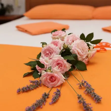 Vida Apartamento Orebić