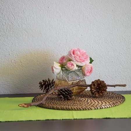 Vida Apartment Orebic