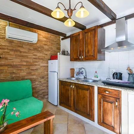 Apartment Vida *