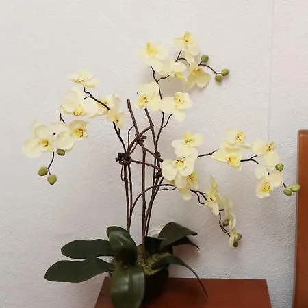 Apartamento Vida *