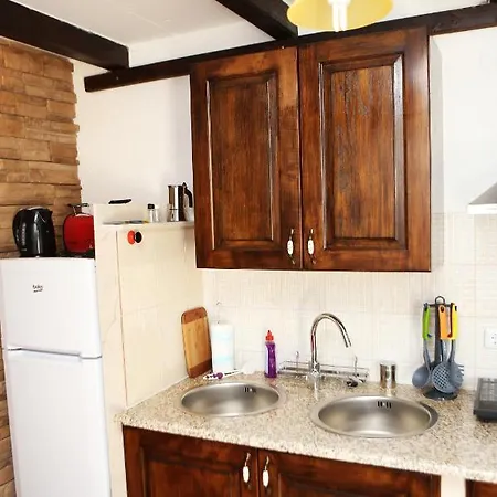 公寓 Vida 奥瑞比克