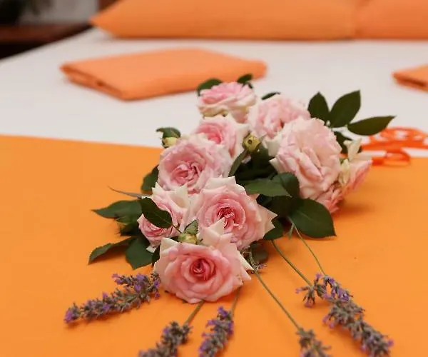 Vida Διαμέρισμα Orebić