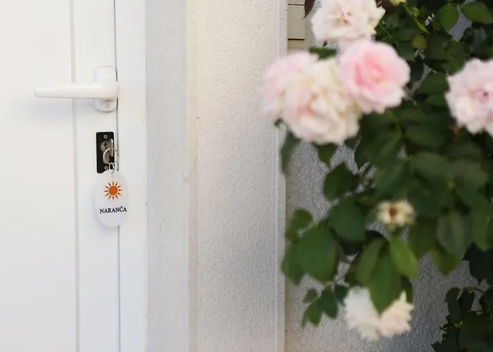 Διαμέρισμα Vida Orebić